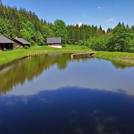 Forsthaus Glashuette Schaueregg Kültér fotó