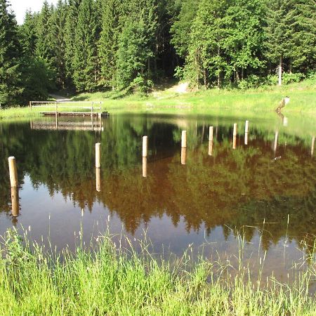 Forsthaus Glashuette Schaueregg Kültér fotó
