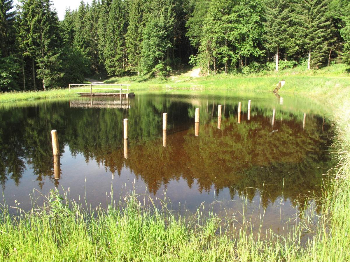Forsthaus Glashuette Schaueregg Kültér fotó