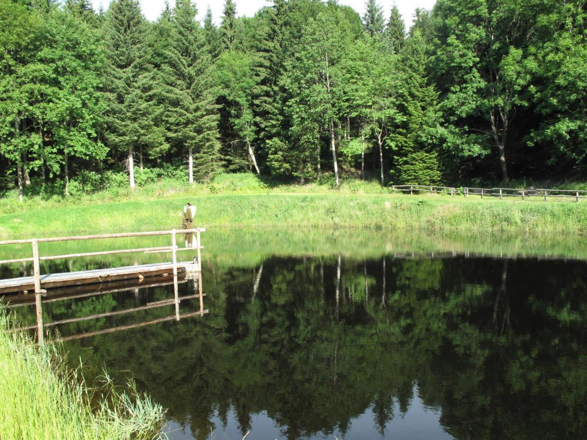 Forsthaus Glashuette Schaueregg Kültér fotó