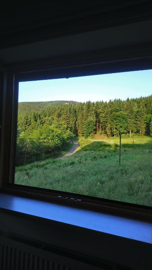 Forsthaus Glashuette Schaueregg Kültér fotó