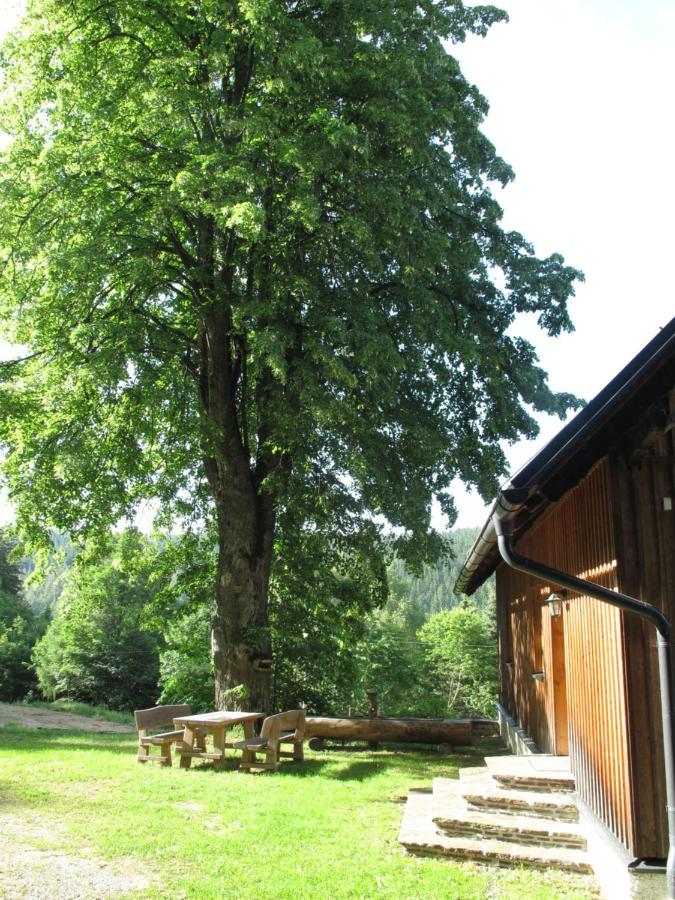 Forsthaus Glashuette Schaueregg Kültér fotó